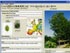 Visualplant 6.1