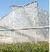 INNOVACIONES T�CNICAS AGR�COLAS, S.L. - Control de ventilaci�n