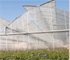 INNOVACIONES T�CNICAS AGR�COLAS, S.L. - Programas de riego, nebulizaci�n y fumigaci�n