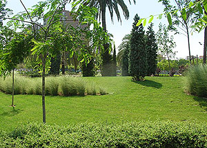 Jardineria