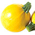 Calabac�n redondo Floridor HF1