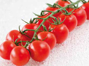 Tomate cherry Matyno HF1