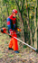 Desbrozadoras forestales