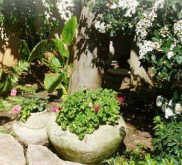 Lnea de goteo Jardi Click Tif