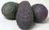 Aguacate