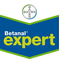 Herbicida Betanal Expert
