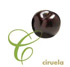 Ciruelas