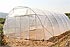 Tunelkit, la calidad de los grandes invernaderos al servicio de la agricultura de recreo