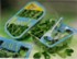 FreshSAFE