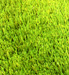 Idemgrass Excelent