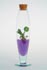 VidaPlant, la planta ornamental que no necesitan mantenimiento