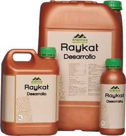 Bioestimulante Raykat Desarrollo