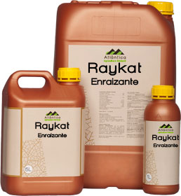 Bioestimulante Raykat enzaizador