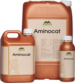 Aminocido Aminocat