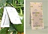 SYNGENTA BIOLINE, S.A. - Swirskiline as