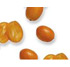Kumquat