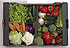 Verduras y Hortalizas Ecolgicas