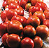 Tomata de penjar