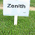 Zoysia Zenith