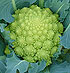 Coliflor Agripa F1 (Romanesco)