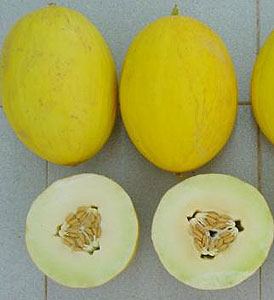 Meln amarillo Canario