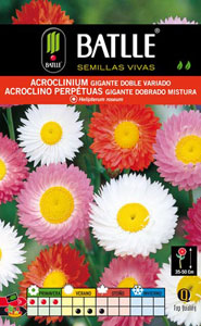 Acroclinium