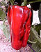 Pimiento rojo Brito