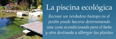 Acceda al art&iacute;culo