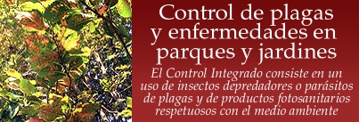 Acceda al art&iacute;culo