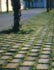Tegula/Terana Green