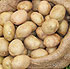 'Pataca de Galicia'