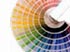 Tamao, color y peso