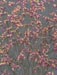 Limonium serie Sensy