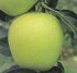 Manzanas de color verde amarillo dorado