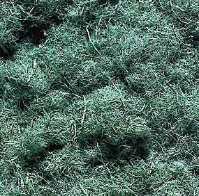 Mulch Ecofibra