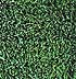 Csped artificial P-Grass Pirineos