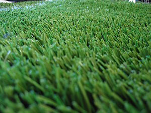 Césped artificial P-Grass Bermuda