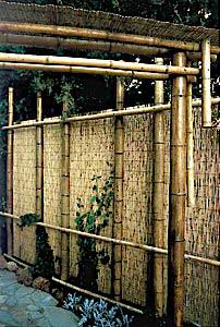 Caas de bamb para decoracin
