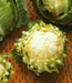 Coliflor hbrido Hollis F1