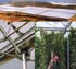 Estructuras de invernaderos