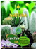 Natura Cactus