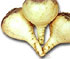 Nabicol
