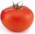 Tomate Tovi Roca