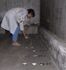 Test de contaminacin