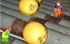 Deccosol 230
