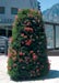 Estructuras Florales Garsy