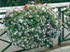 Balconeras