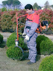 Cortador esfrico Pazzaglia