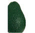 Aguacate Hass