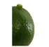 Aguacate Reed